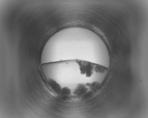 X0000064720065200602101134