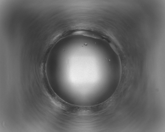 X0000064720066200602101135