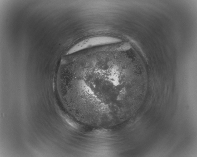 X0000064720069200602101135