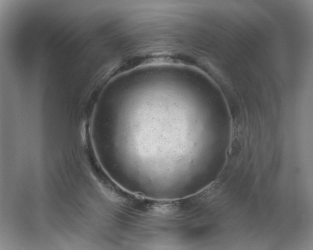 X0000064720070200602101135