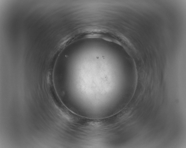 X0000064720071200602101135