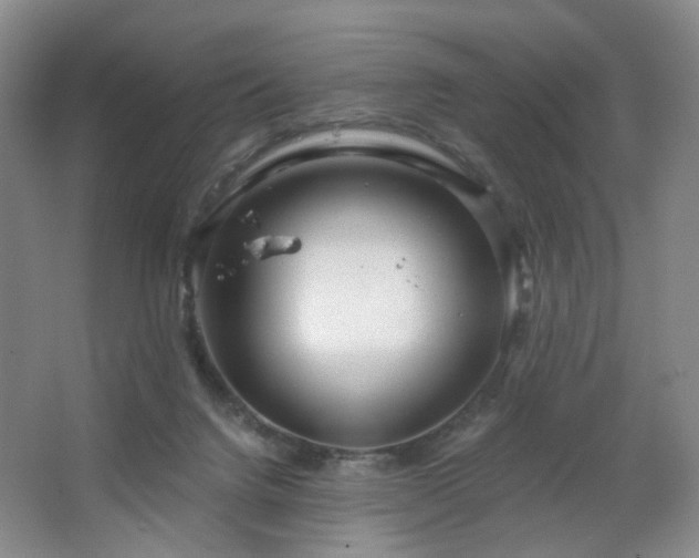 X0000064720072200602101135