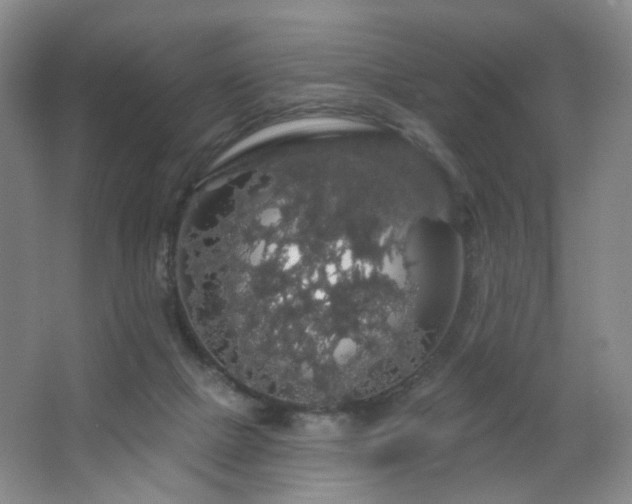 X0000064720073200602101135