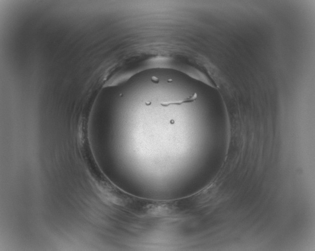 X0000064720074200602101135