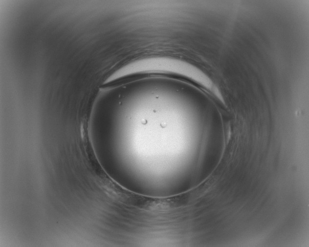 X0000064720075200602101135