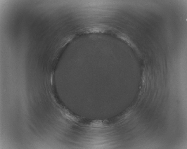 X0000064720076200602101135