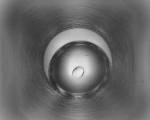 X0000064720077200602101135