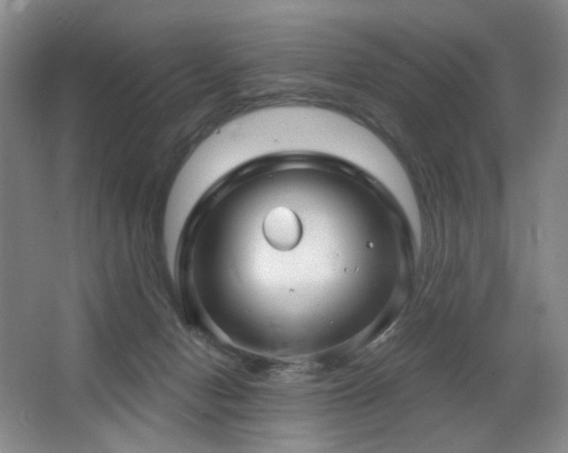 X0000064720078200602101135