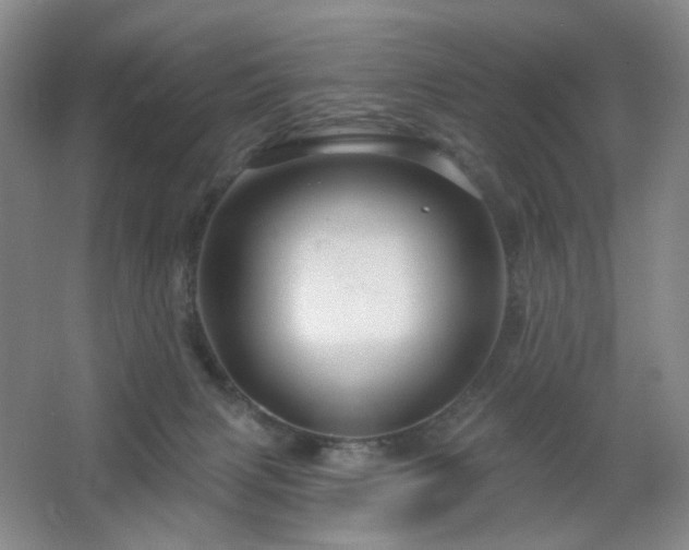 X0000064720079200602101135