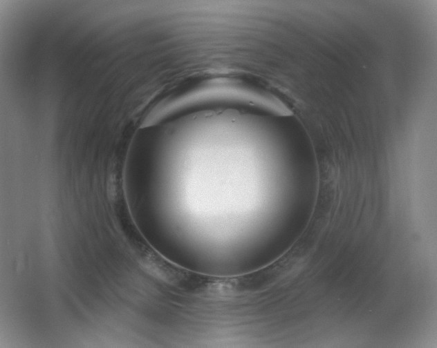 X0000064720080200602101135