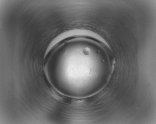 X0000064720081200602101135