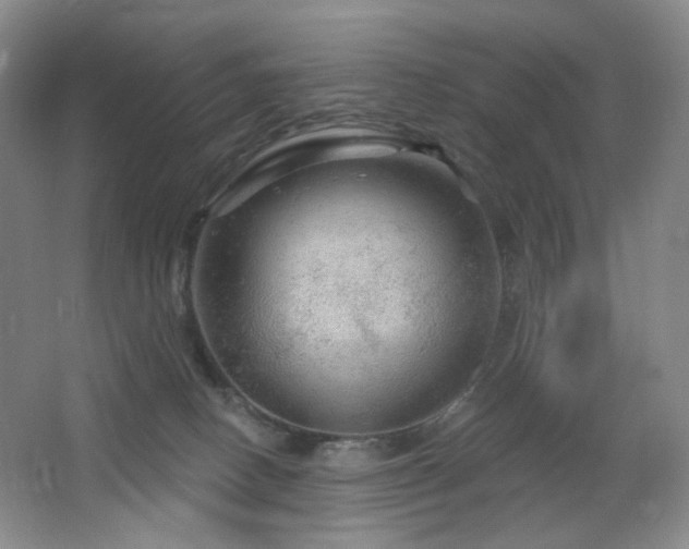 X0000064720082200602101135