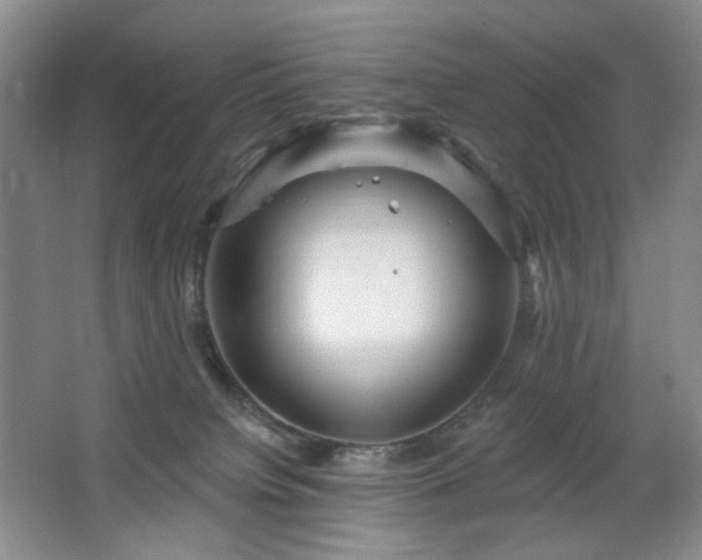 X0000064720084200602101135