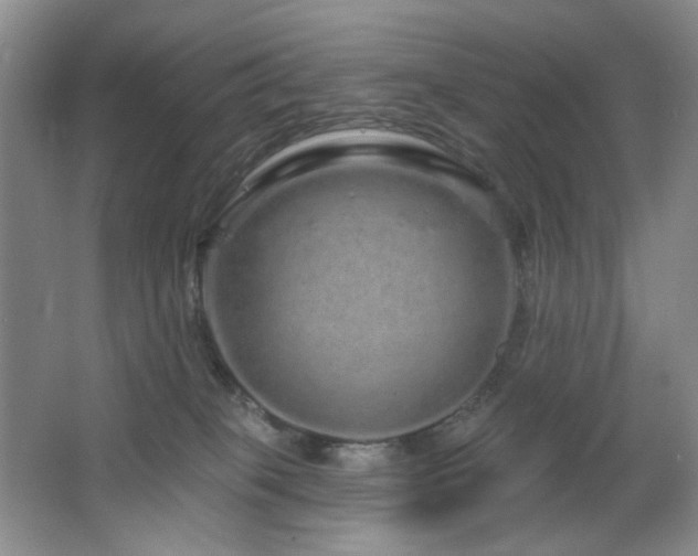 X0000064720085200602101135