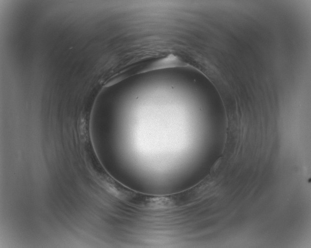 X0000064720087200602101135