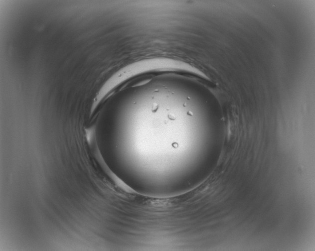 X0000064720088200602101135