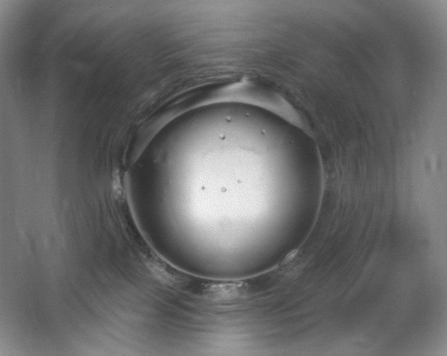 X0000064720089200602101135