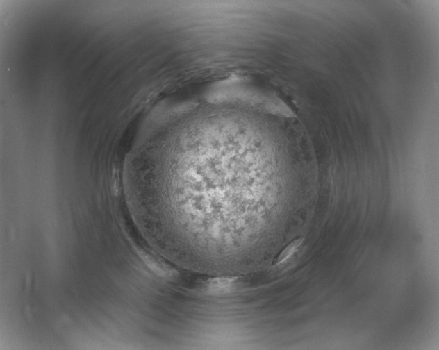 X0000064720090200602101135