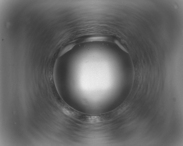 X0000064720091200602101135