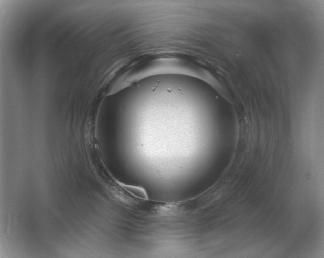 X0000064720092200602101135