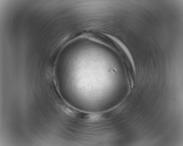 X0000064720093200602101135