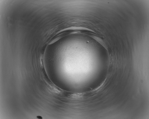 X0000064720094200602101135