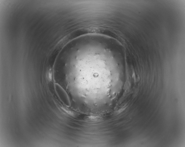 X0000064720095200602101135