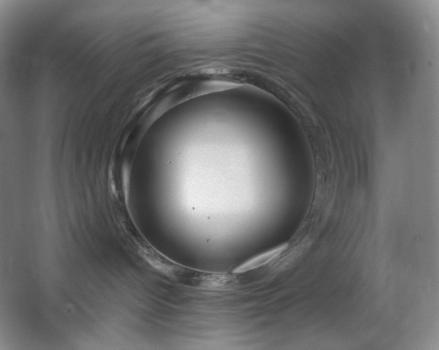 X0000064720096200602101135