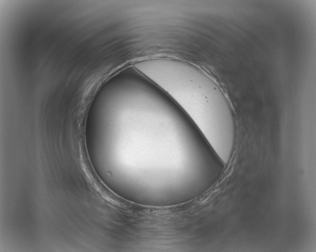 X0000064720097200602101134