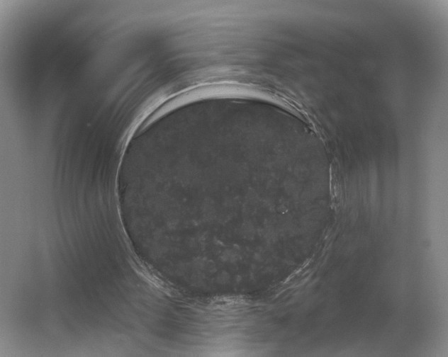 X0000064720099200602101134