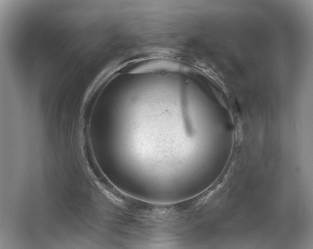 X0000064720101200602101134