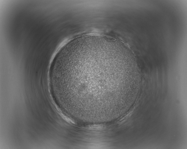 X0000064720102200602101134