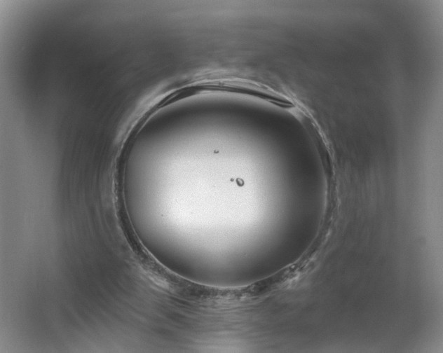 X0000064720103200602101134