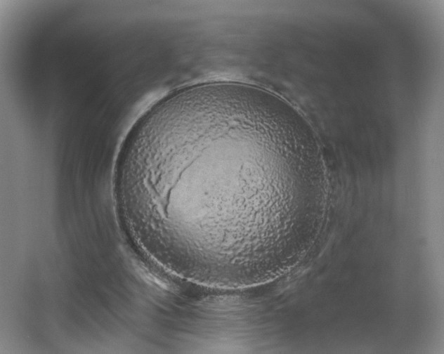 X0000064720104200602101134