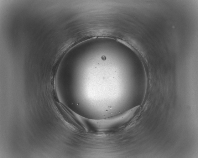 X0000064720105200602101134