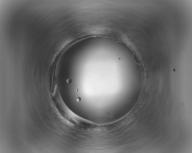 X0000064720106200602101134