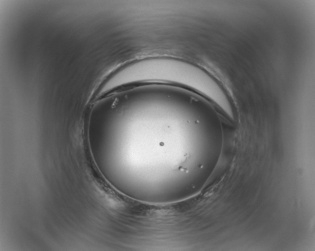 X0000064720107200602101134