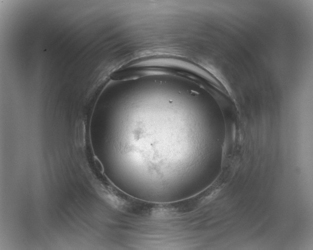 X0000064720109200602101134