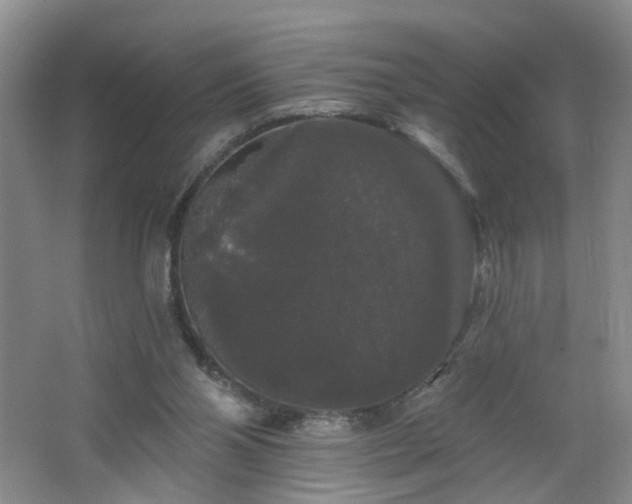 X0000064720110200602101134