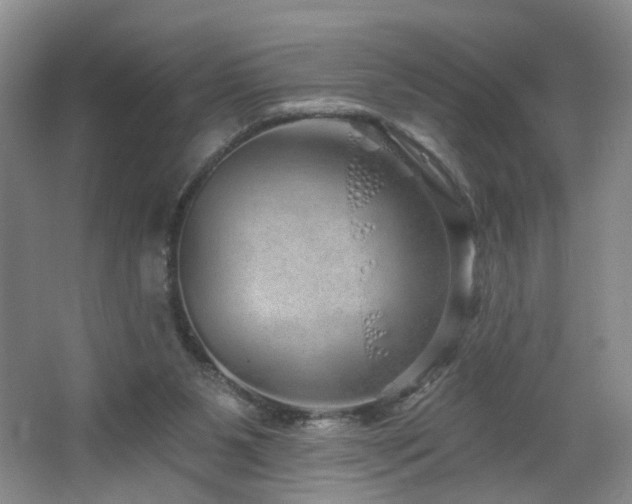 X0000064720111200602101134