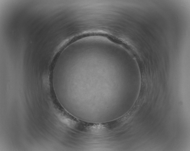 X0000064720112200602101134