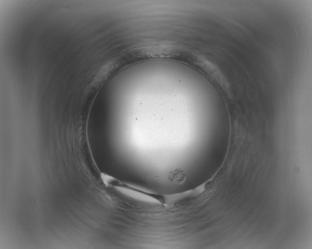 X0000064720113200602101134