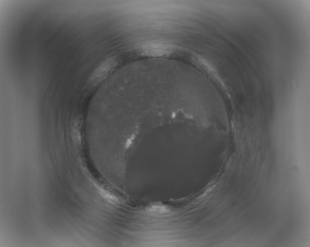 X0000064720114200602101134