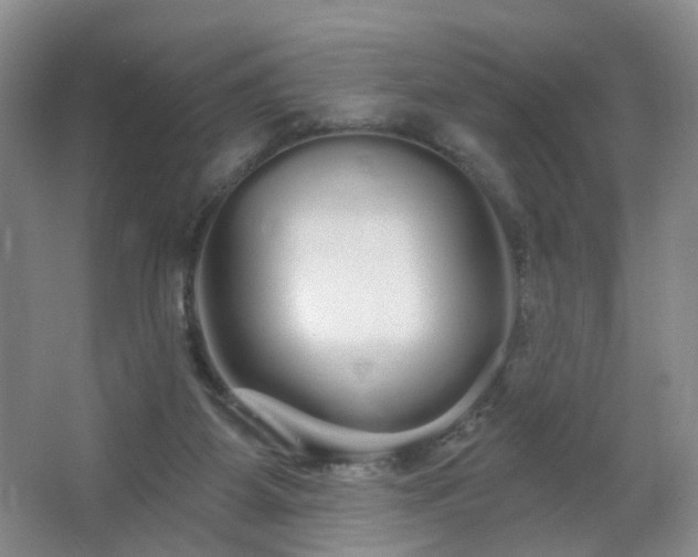 X0000064720115200602101134