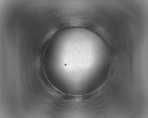 X0000064720116200602101134