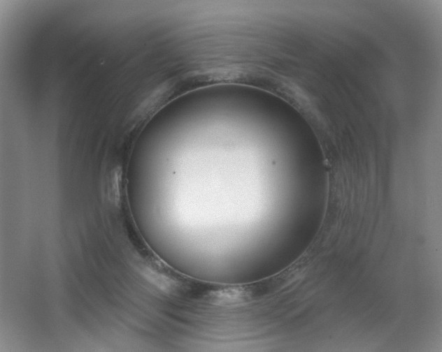 X0000064720118200602101134