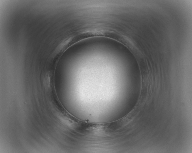 X0000064720120200602101134