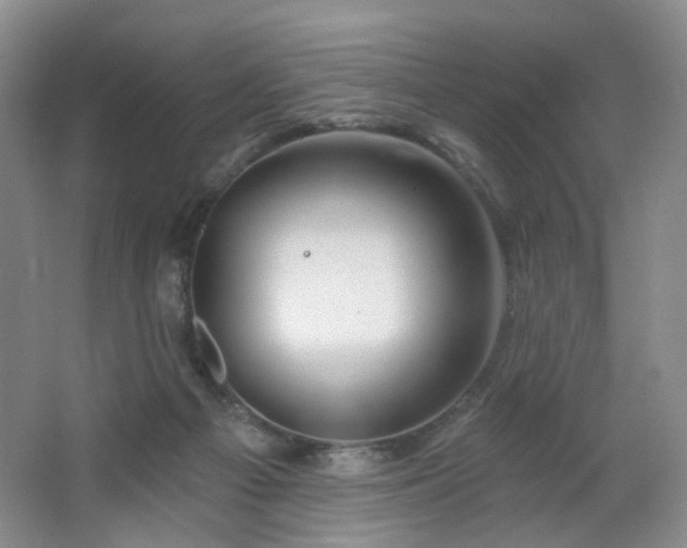 X0000064720121200602101134