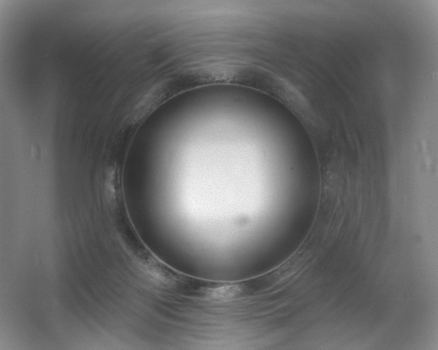 X0000064720122200602101134