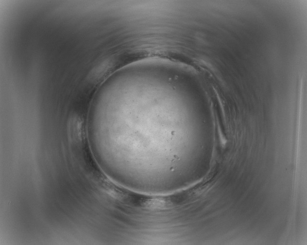 X0000064720123200602101134